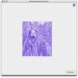 Icon of program: RAAViewer