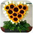 程序图标：Arreglos de Flores