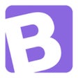 程序图标：Bright Bucks