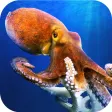 Octopus Underwater Simulator -