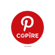 Programikonen: Pins Image URI Copier