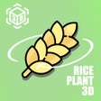 Icoon van programma: RicePlant 3D
