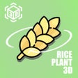 RicePlant 3D