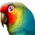 Icon of program: PolyView