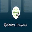 Icon of program: Collibra Browser Extensio…