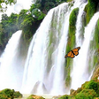 Icon of program: Waterfall Live Wallpaper