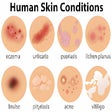 Icon of program: Dermatology Atlas Profess…