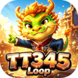 프로그램 아이콘: TT345Loop