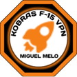 程序图标：Kobras F-15 Vpn