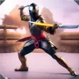 Ninja Shadow Fighting Game