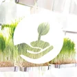 プログラムのアイコン：Gardening at Home: Herbs