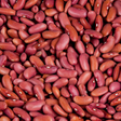 Programikon: Beans