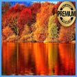 Icon of program: Autumn Forest HD Wallpape…