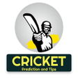 程序图标：IPL News  Prediction 2023