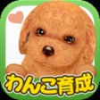 프로그램 아이콘: てのひらワンコ スマホでわんこ育成