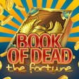 Ikon program: Book of Dead: the fortune