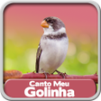 程序图标：Canto Meu Golinha