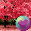 Pretty Pink Color HD Wallpaper icon