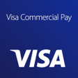 Ícone do programa: Visa Commercial Pay