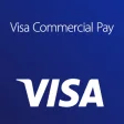 Visa Commercial Pay