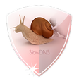 Ícone do programa: SlowDNS