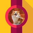 程序图标：Photo Watch Maker Tizen W…