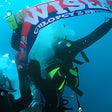 Ikona programu: Tapeta Wisła Kraków