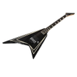 Icono de programa: Electric Guitar Tuner