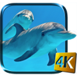 Icono de programa: Dolphins Live Wallpaper
