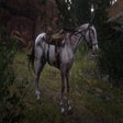 Icon of program: Scrawny Nag