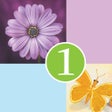 Icon of program: 1 Clue: Words and Syllabl…
