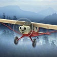 Ikon program: Airplane Fly Bush Pilot