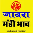 Icon of program: जवर मड भव jaora Mandi B