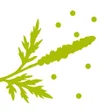 Icon of program: RealForAll
