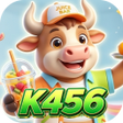 Icon of program: K456Lock