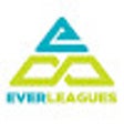 Icona del programma: Everleagues WebApp Confer…