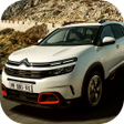 Icoon van programma: Citroen Wallpapers