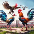 Programın simgesi: Street Rooster Fight Kung…
