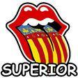 Icon of program: Valencià SuperiorCIEACOVA…