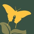 Ícone do programa: NWF Guide to Butterflies