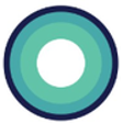 Icon of program: Pangiam veriScan