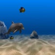 プログラムのアイコン：Dolphin Aqua Life 3D Scre…
