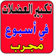 أيقونة البرنامج: تكبير العضلات في اسبوع مج…
