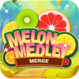 Melon Medley Merge icon