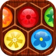 Icona del programma: Hexa Puzzle
