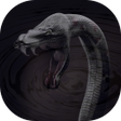 プログラムのアイコン：Cobra Attack Live Wallpap…