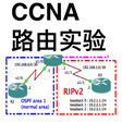 プログラムのアイコン：CCNA Labs Routing Lite