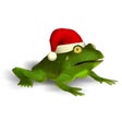 ไอคอนของโปรแกรม: Christmas Super Frog