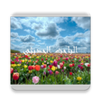 Icon of program: الباحث الحديثي بدون نت