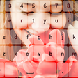 プログラムのアイコン：Photo Keyboard Custom The…